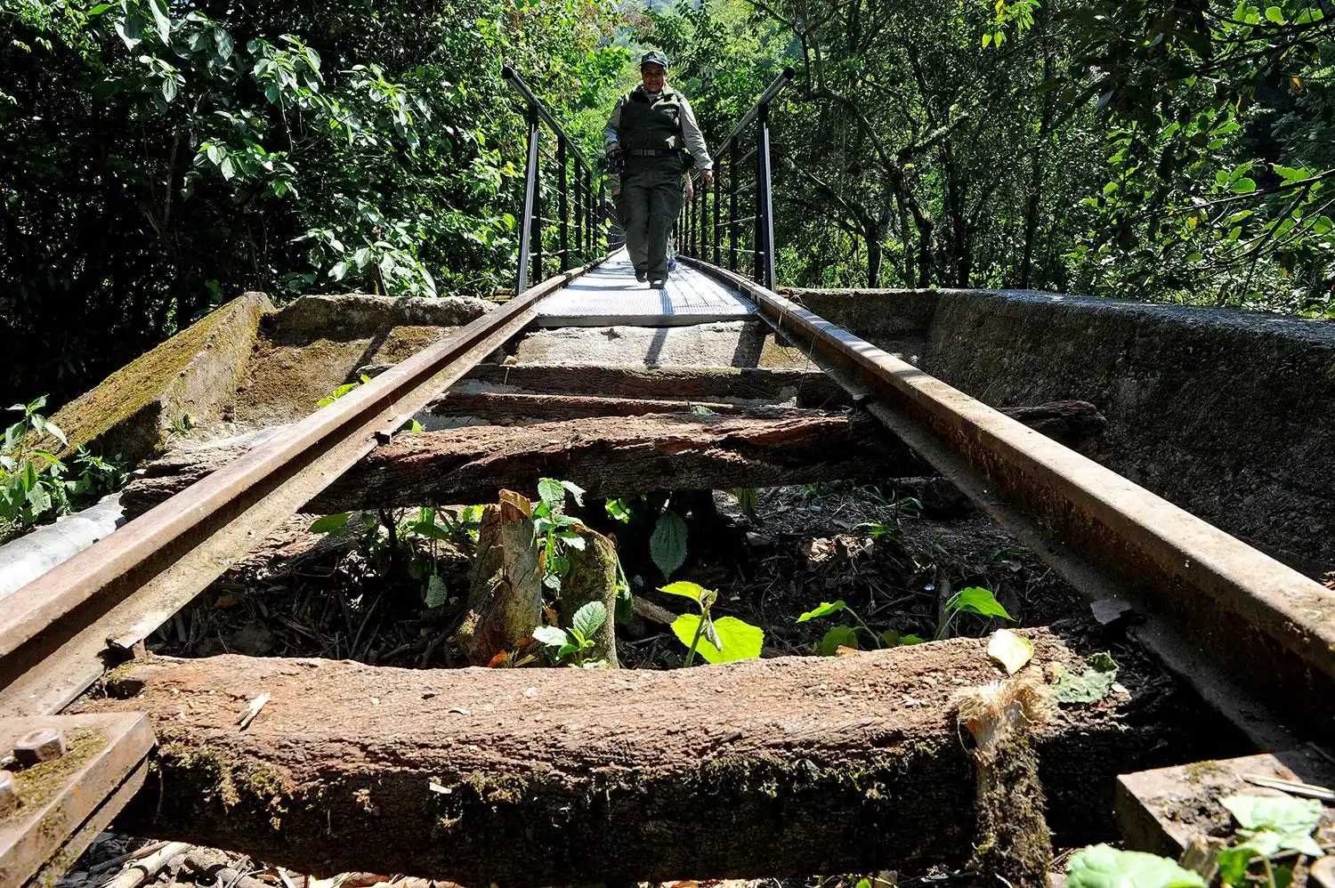 Recomendaciones para disfrutar del senderismo en Tucumán sin perderse ni sufrir contratiempos