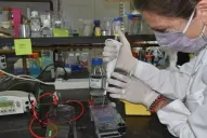 Avanza la vacuna argentina contra la covid-19, desarrollada  por el INTA y Bagó