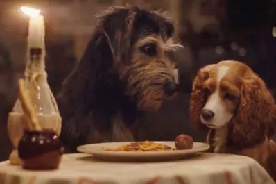 La grilla se completa con documentales y el live action de un clásico de Disney