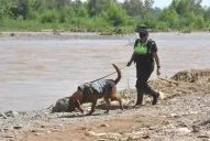 Los perros adiestrados aportaron una pista, pero Brian Galván sigue desaparecido
