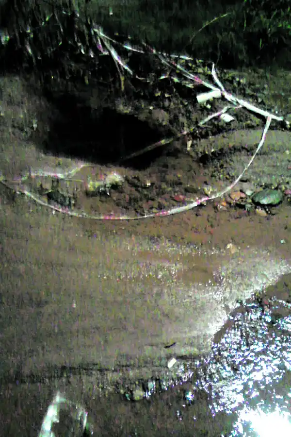 Trampa para peatones en Yerba Buena