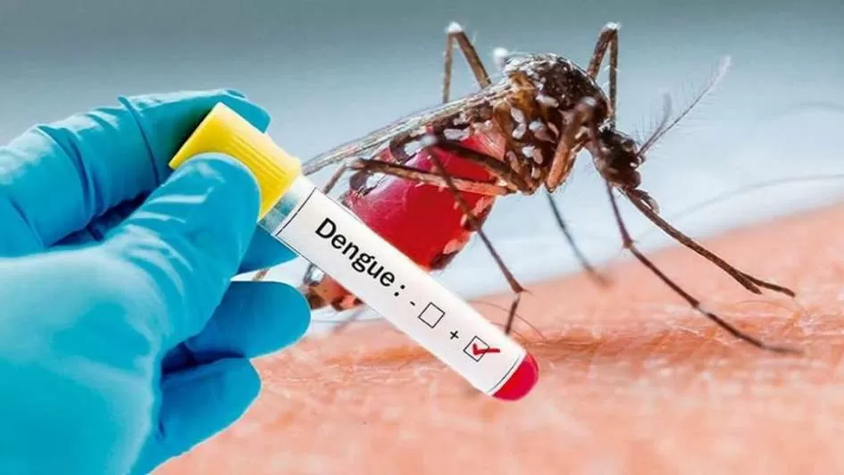LABORATORIO. Ante los síntomas de dengue, hay que realizar estudios. 