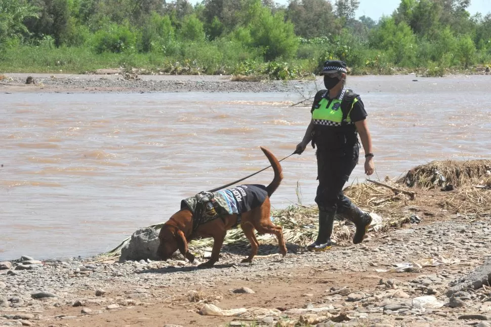 A LA VERA DEL SALÍ. Una adiestradora recorre con un can los márgenes del río en busca de pistas de Brian. 