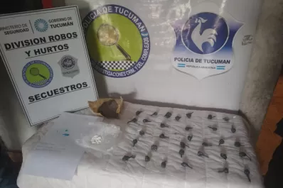 Fueron en busca de pruebas por un violento asalto, pero encontraron cocaína y marihuana