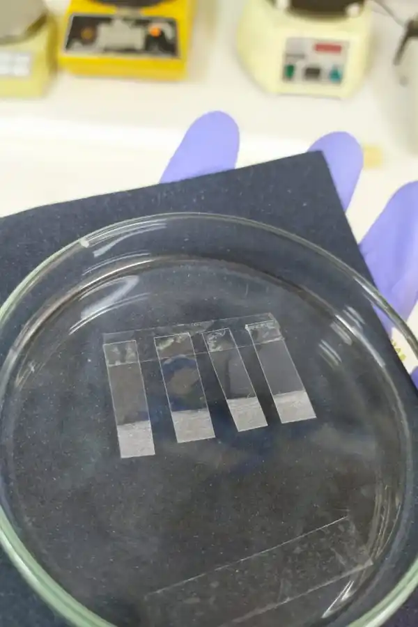 Las tiras reactivas.