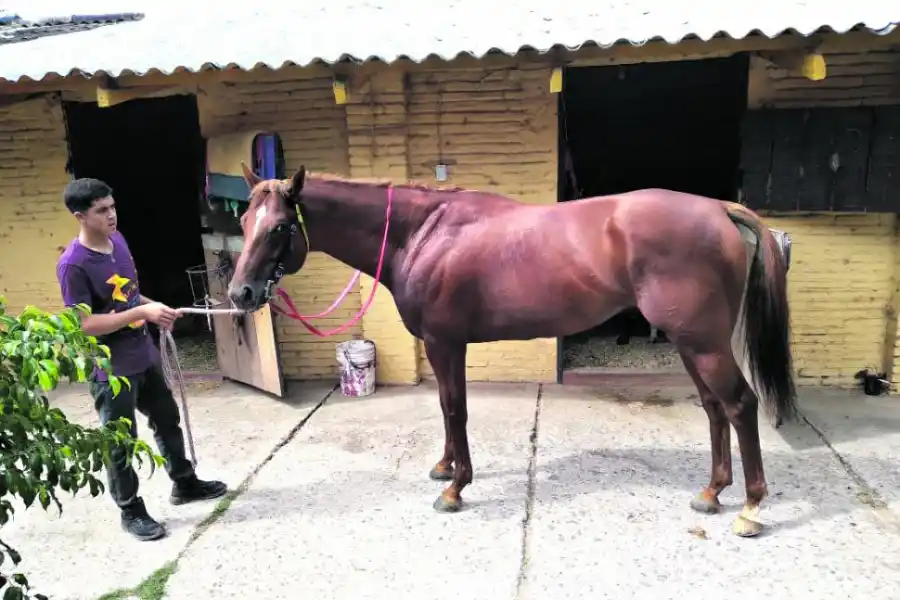 GRAN MOMENTO. Días Felices viene de ganar en tiempo récord y buscará llegar a lo más alto del podio entre los fondistas.
