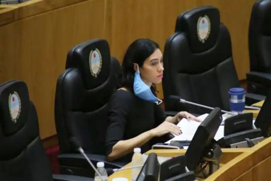 NADIMA PECCI. Legisladora por Fuerza Republicana, en el recinto. 