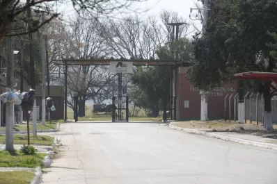 Frustraron el robo de un caballo peruano en la Facultad de Agronomía