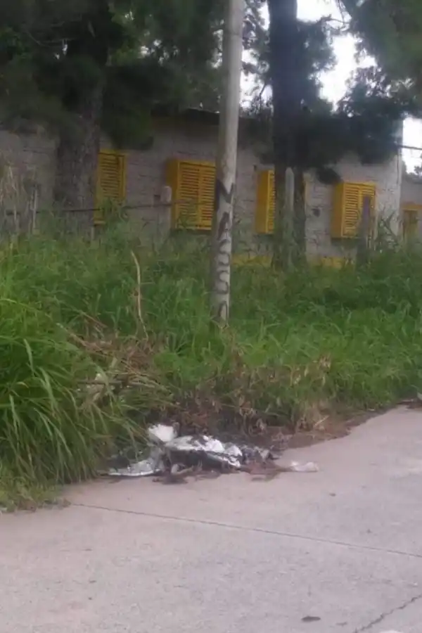 ESCUELA REPÚBLICA DEL PARAGUAY.