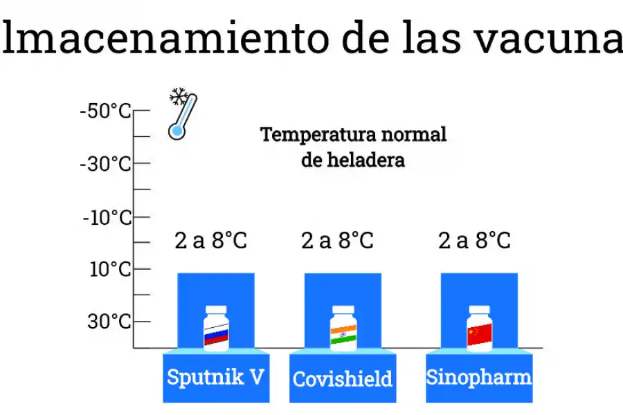 Covid-19: conocé qué tienen en común y qué diferencias hay entre los tres tipos de vacunas disponibles en el país