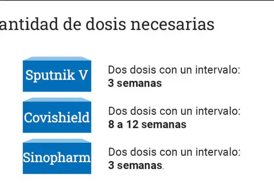 Covid-19: conocé qué tienen en común y qué diferencias hay entre los tres tipos de vacunas disponibles en el país