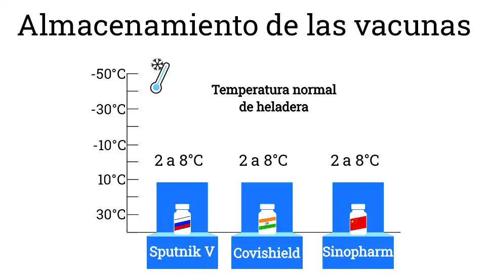 Covid-19: conocé qué tienen en común y qué diferencias hay entre los tres tipos de vacunas disponibles en el país