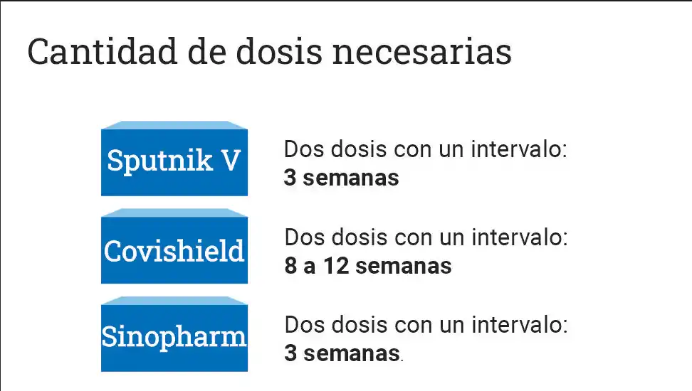 Covid-19: conocé qué tienen en común y qué diferencias hay entre los tres tipos de vacunas disponibles en el país