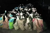 Realizan controles en las rutas tucumanas para evitar el ingreso del HLB