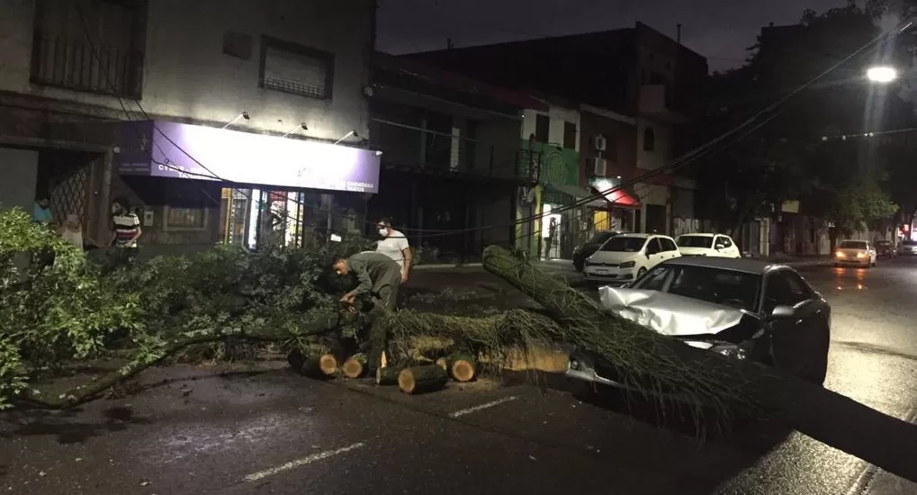 Una mujer chocó contra un árbol caído en Jujuy al 100