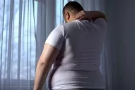 La obesidad, una enfermedad crónica que surge de muchos factores