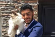 Los gatos “caros” son cada vez más requeridos