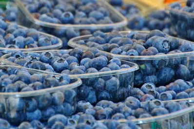 En 2020, la exportación de arándanos cayó un 25%