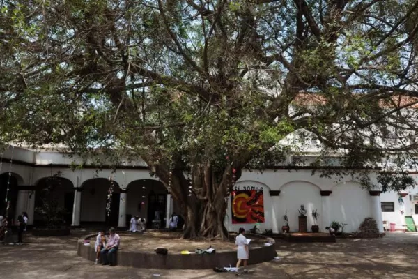 Comienzan las actividades presenciales en las Escuelas Experimentales de la UNT