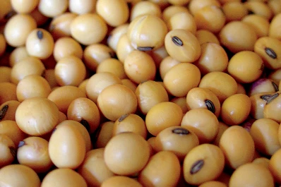 La soja lideró exportaciones en 2020 con U$S 15.000 millones, pero cayó un 12,3% interanual