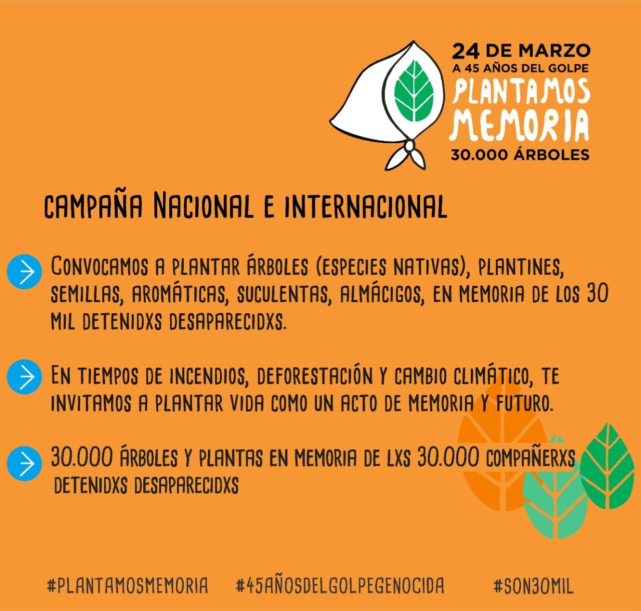 A 45 años del golpe cívico militar, convocan a plantar 30.000 árboles por los desaparecidos