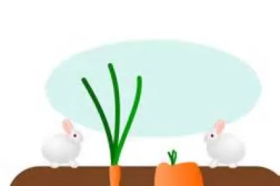 La interna de las subestimaciones