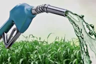 Legislatura: suma apoyo la idea de que los vehículos oficiales utilicen biocombustible