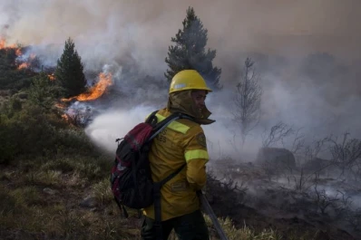 Desarrollo social distribuye asistencia en la Patagonia tras los incendios