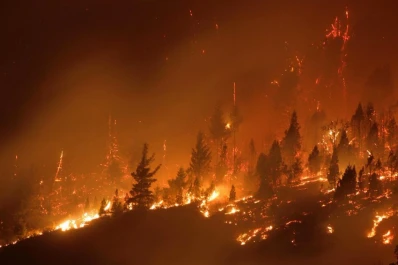 Incendios en la Patagonia: Nación enviará vacunas y pone a disposición un equipo de salud mental