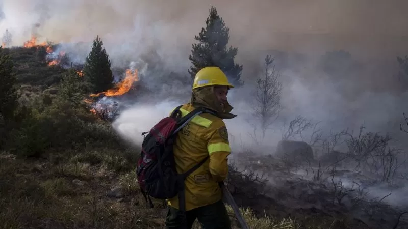 Desarrollo social distribuye asistencia en la Patagonia tras los incendios