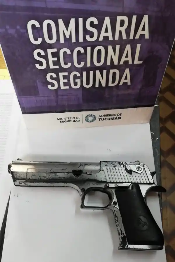Inseguridad: el fin de semana dejó un saldo de 15 personas detenidas y el secuestro de ocho armas