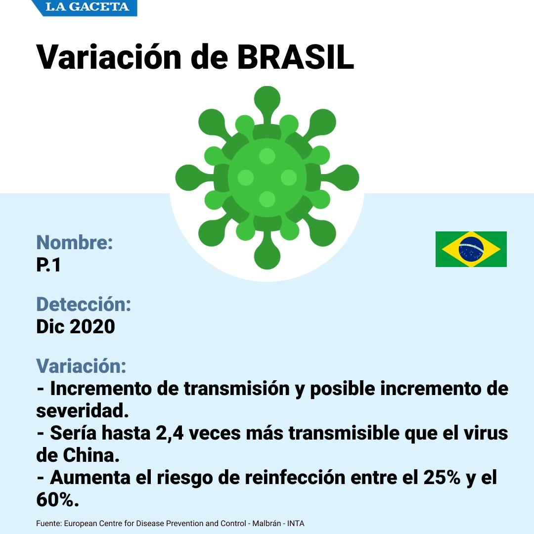 Conocé cuáles son las variantes del coronavirus y cómo pueden impactar en la Argentina