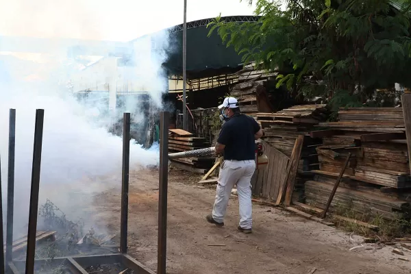 La alerta por dengue se mantendrá un mes más, al menos, dijeron en el Siprosa