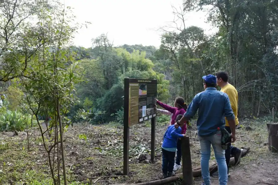 Escapadas de fin de semana: cinco opciones para sumergirse en la naturaleza 