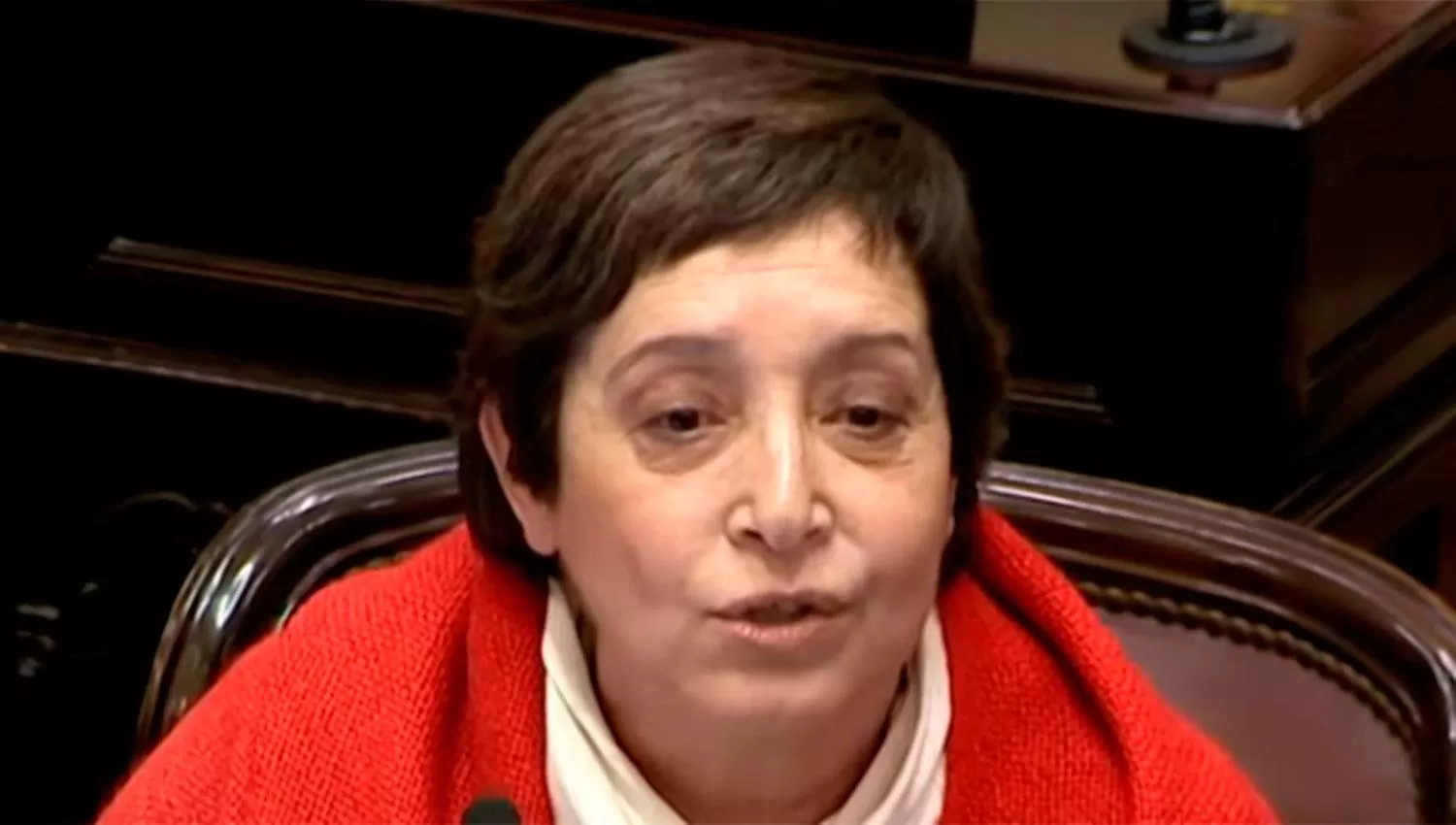 Beatriz Mirkin, senador nacional por Tucumán.