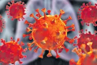 El confinamiento no congeló la violencia