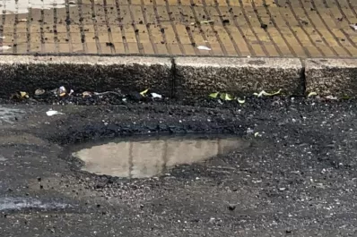 Bache en Monteagudo al 100