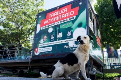 Yerba Buena: a partir de mañana habilitan la inscripción para la castración de mascotas
