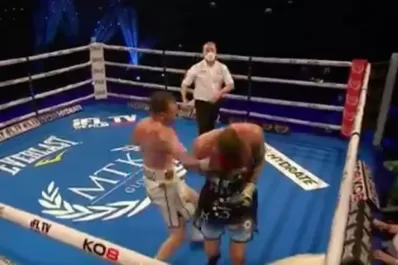 Video: pelea de boxeo terminó con insólito nocaut por culpa del árbitro