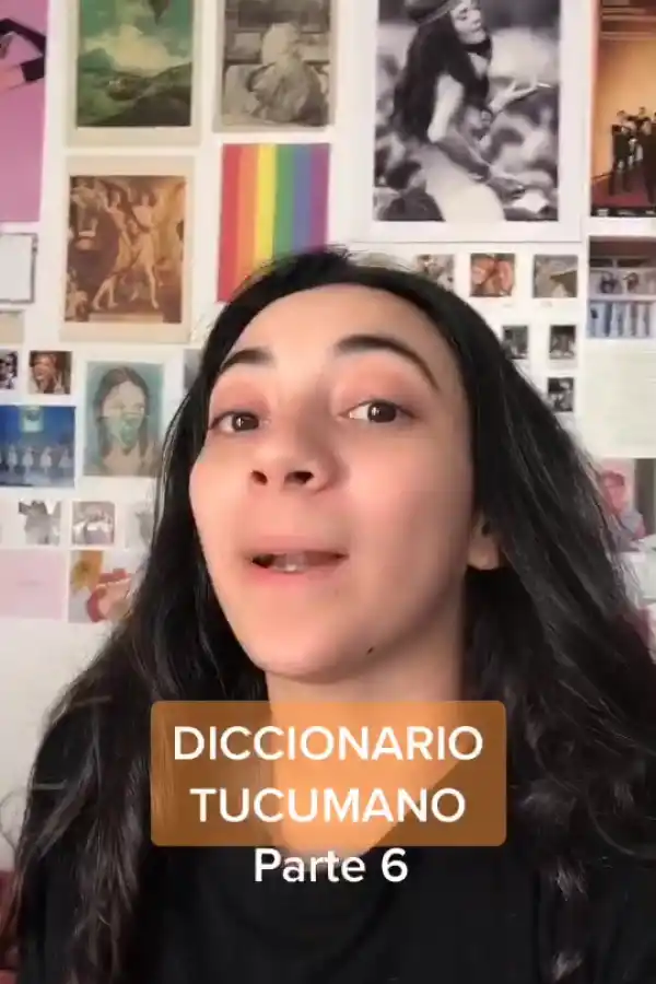 TikTok: ¿el gran ganador de la pandemia u otra moda pasajera?