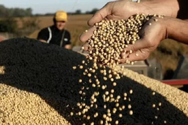 La soja y el trigo cerraron estables en Rosario