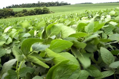 Comienzan los ciclos de capacitación 2021 de la Estación Experimental