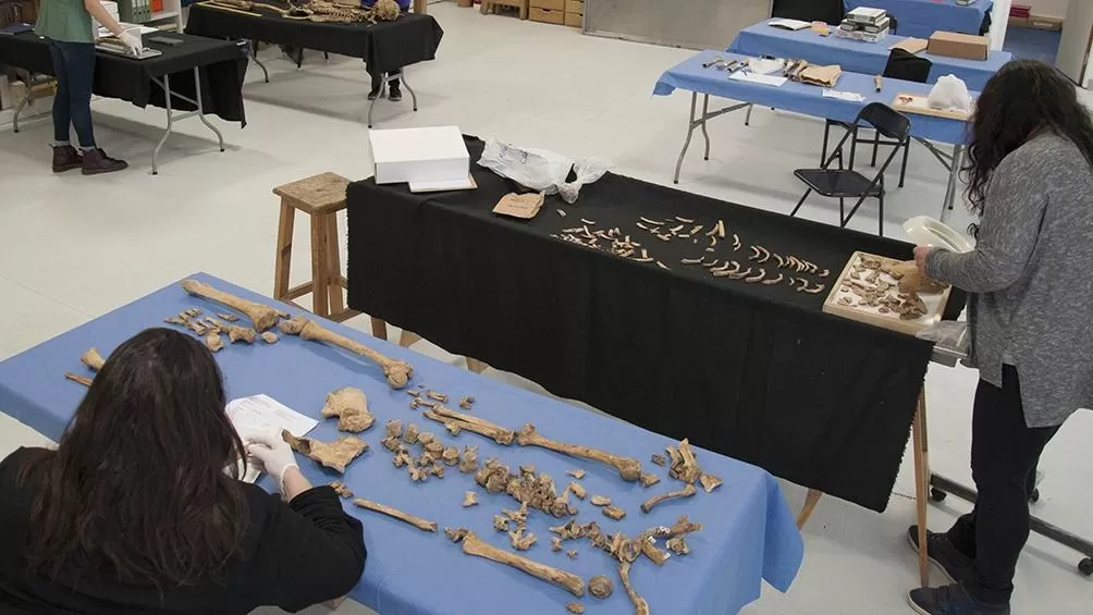 El Equipo de Antropología Forense tiene en resguardo más de 600 restos sin identificar