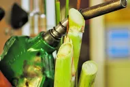 Biocombustibles: según Simón Padrós, diputados locales trabajan un proyecto superador