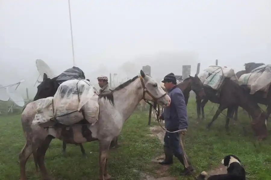18 DE MARZO. Vera publica en su cuenta de Facebook que sus pertenencias habían llegado a Anfama.