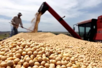 Los precios de la soja y el maíz alcanzan un nuevo récord