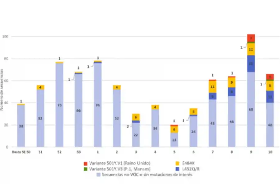 Confirman la circulación de la variante de Manaos en Argentina