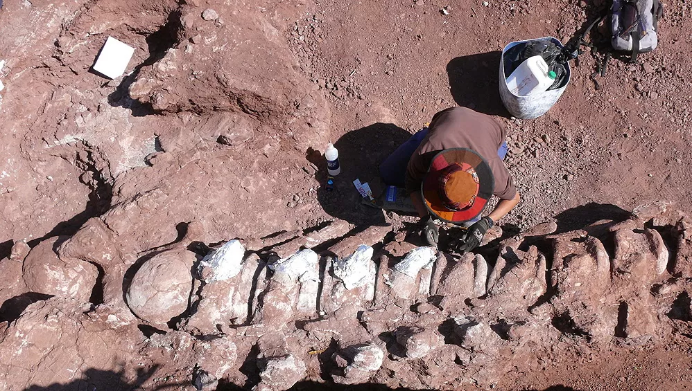 ZONA DE HALLAZGO. Neuquén es una provincia donde se encontraron muchos fósiles; uno de los últimos corresponde a enero de este año.