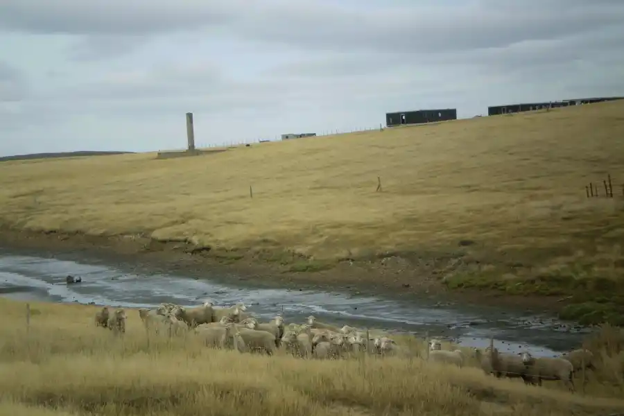 Malvinas: de la batalla más larga sólo queda la historia