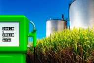 El borrador sobre los biocombustibles